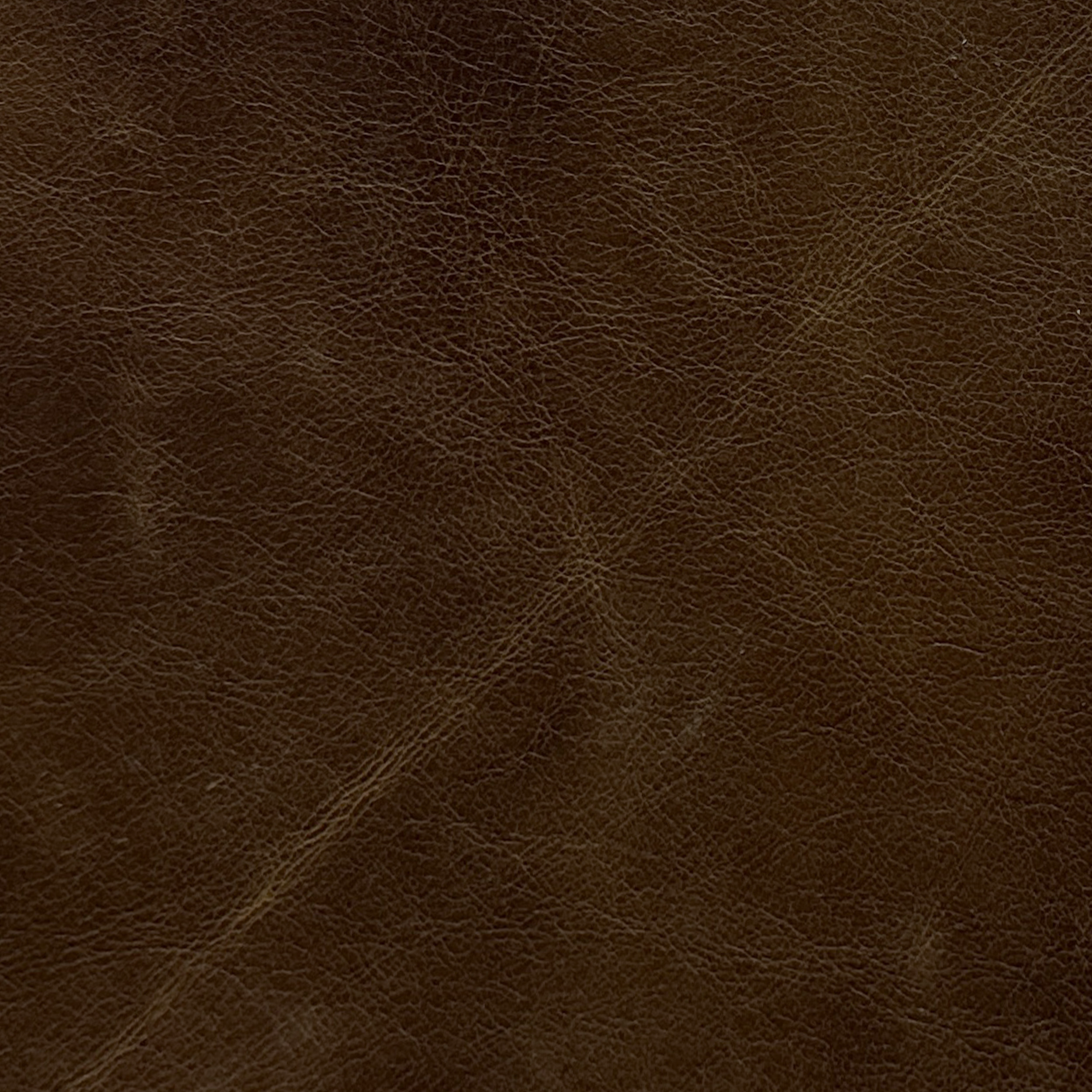 Coyote Tan